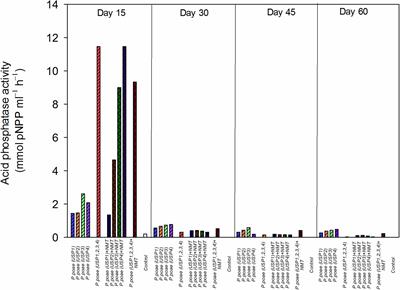 Bacterial Subspecies Variation and Nematode Grazing Change P Dynamics in the Wheat Rhizosphere